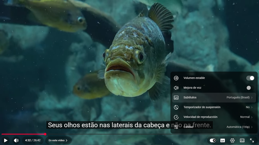 Seantience screenshot