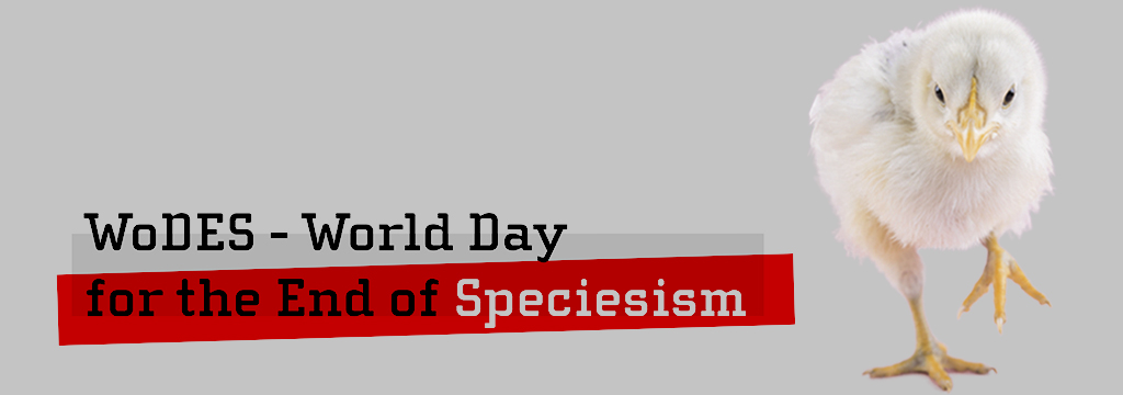 Talks for the World Day for the End of Speciesism