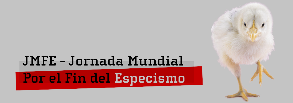 Charlas en el Día Mundial por el Fin del Especismo