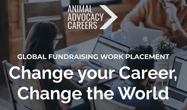 Animal Advocacy Careers is accepting applications for their Fundraising Work Placement program