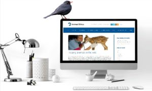 Internship opportunities at Animal Ethics Internship opportunities at Animal Ethics