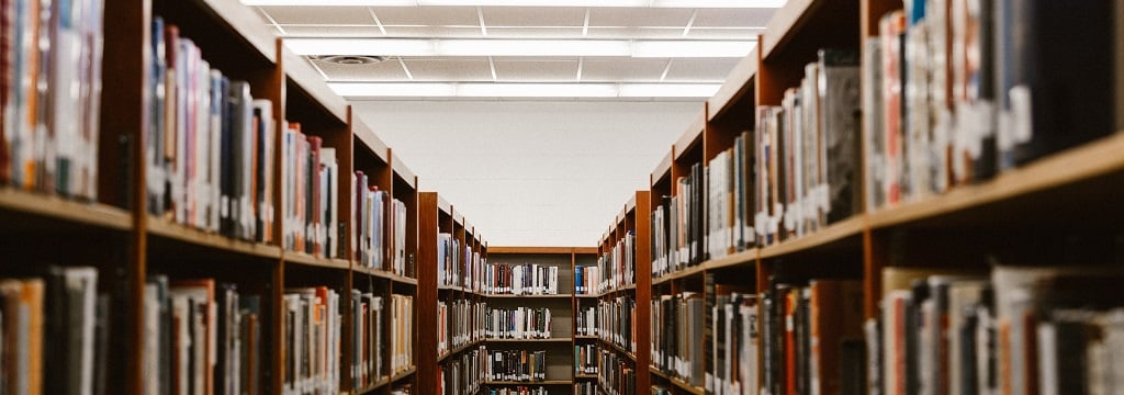 Second round of master's grants for research at the intersection of ecology and wild animal welfare science — Animal Ethics Second round of master's grants for research at the intersection of ecology and wild animal welfare science — Animal Ethics