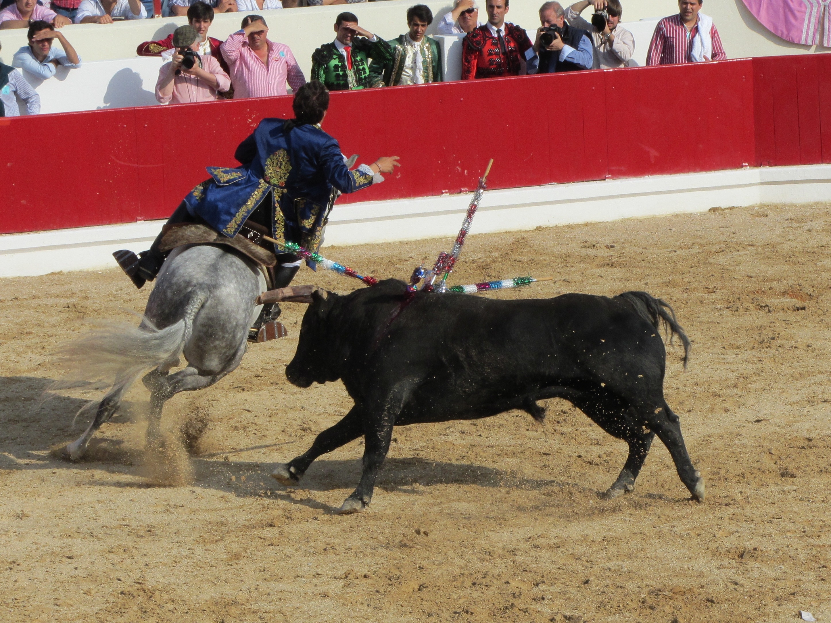 Bull fighter. Бои Тореро Тореро Быков.