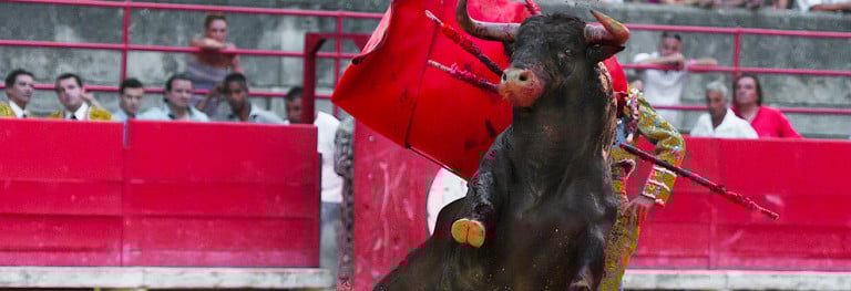 bullfighting