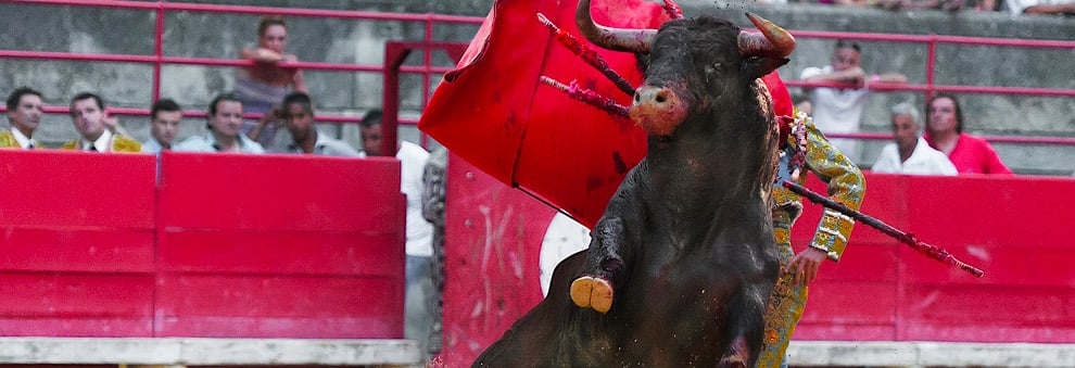 Second Spain bullfight stage: tercio de banderillas