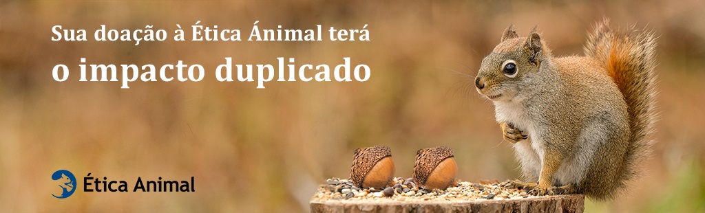 Sua doação à Ética Animal terá o impacto duplicado