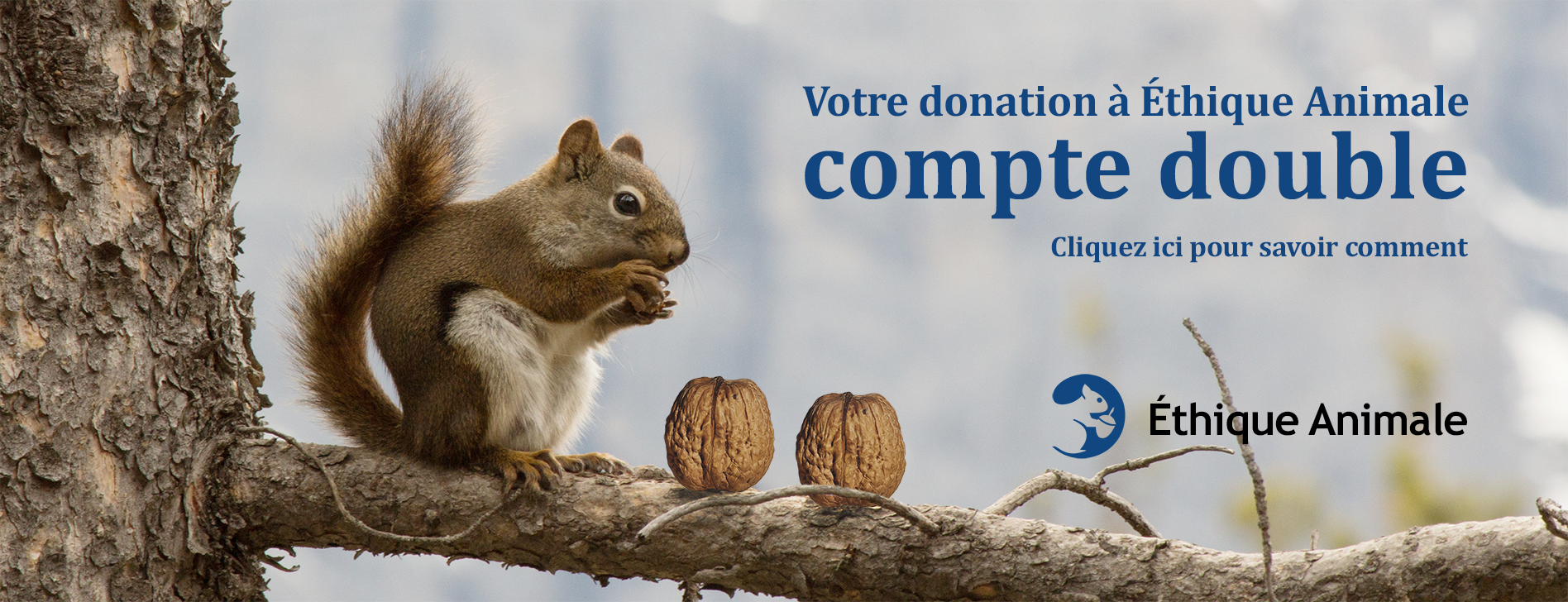 Votre donation à Éthique Animale compte double