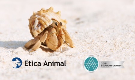 Ética Animal reconhecida como organização em destaque por sua efetividade