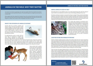 factsheet-wild-animals