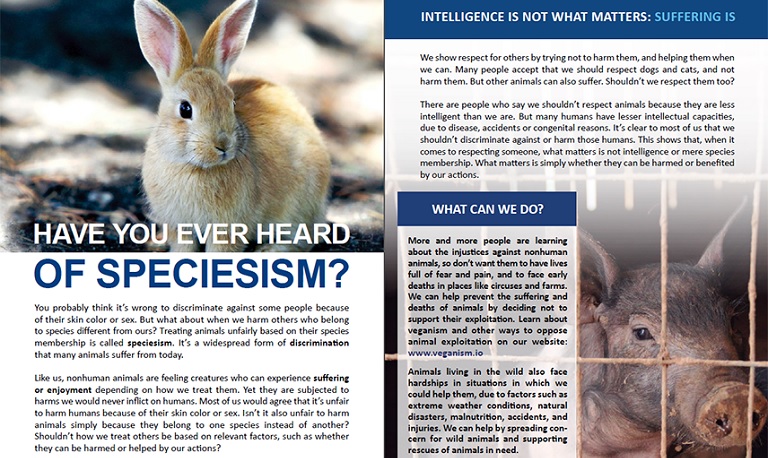 Download and use Animal Ethics's leaflets and factsheets