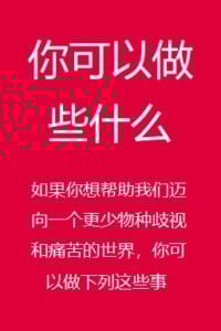 你可以做些什么