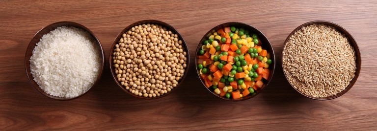 nutrition