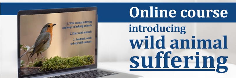 Announcing the first video of an online course on wild animal suffering —  Animal Ethics