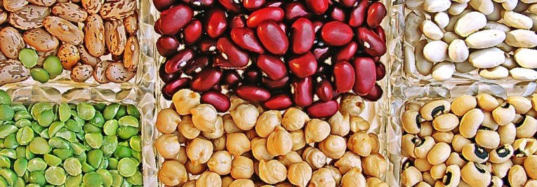 proteins