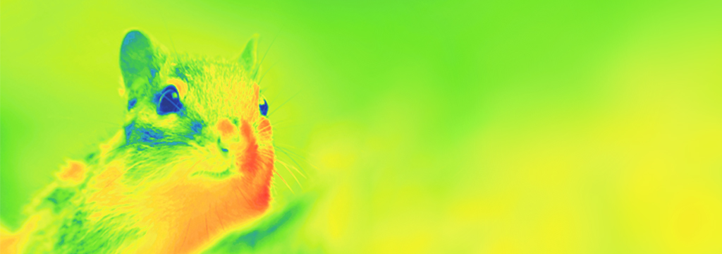Using thermal imaging to help animals in the wild: New literature review — Animal Ethics Using thermal imaging to help animals in the wild: New literature review — Animal Ethics
